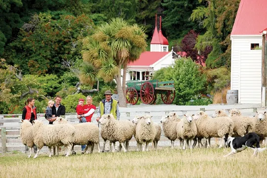 瓦爾特峰高原牧場
