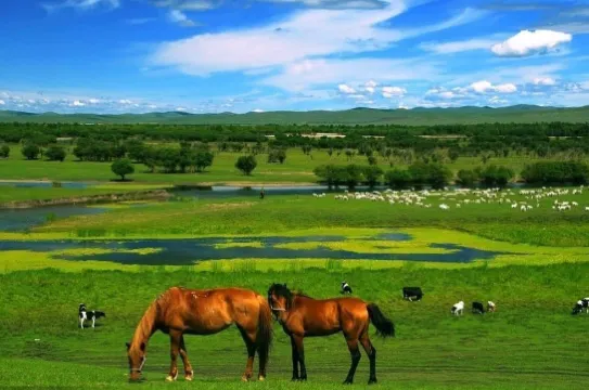 希拉穆仁大草原