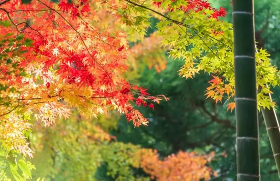 石門國家森林公園