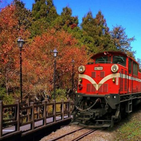 高雄+阿里山賞花/賞紅葉(小火車)+日月潭+台北 5天奢華酒店美食之旅【全程五星級酒店】日月潭溫德姆溫泉酒店、高雄洲際/萬豪、嘉義福容VOCO酒店【免費代辦台灣簽證(網證)*】