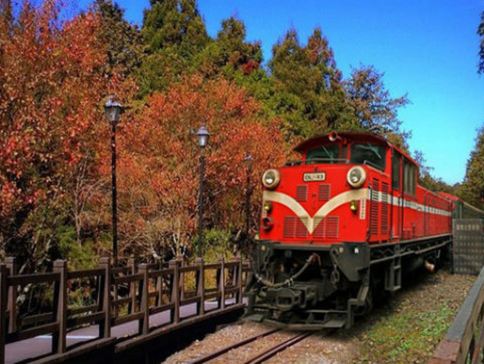 高雄+阿里山賞花/賞紅葉(小火車)+日月潭+台北 5天奢華酒店美食之旅【全程五星級酒店】日月潭溫德姆溫泉酒店、高雄洲際/萬豪、嘉義福容VOCO酒店【免費代辦台灣簽證(網證)*】 高雄+阿里山賞花/賞紅葉(小火車)+日月潭+台北 5天奢華酒店美食之旅【全程五星級酒店】日月潭溫德姆溫泉酒店、高雄洲際/萬豪、嘉義福容VOCO酒店【免費代辦台灣簽證(網證)*】