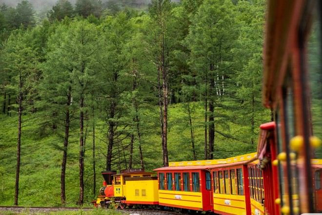 莫爾道嘎國家森林公園森林小火車