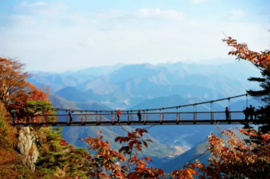 大屯山金剛排雲橋