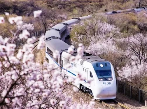 花現北京春日賞花5天純玩團 乘坐花海列車、故宮(賞花)、八達嶺長城(賞桃花)、玉淵潭(賞櫻花)、元大都遺址公園(賞海棠花)、頤和園(賞花)、採摘草莓、奧林匹克公園、園林博物館 花現北京春日賞花5天純玩團 乘坐花海列車、故宮(賞花)、八達嶺長城(賞桃花)、玉淵潭(賞櫻花)、元大都遺址公園(賞海棠花)、頤和園(賞花)、採摘草莓、奧林匹克公園、園林博物館