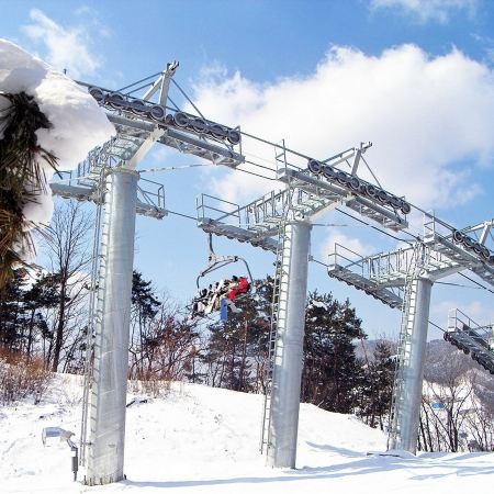 洪川+首爾冬日滑雪5天之旅 ※【Sono Belle Vivaldi Park索諾美麗維瓦爾第公園度假村+冬日滑雪體驗+「梅峰山頂」觀光纜車】、月尾島海鷗船體驗、士多啤梨園、愛寶樂園Everland