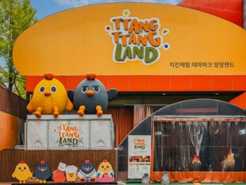 大邱+釜山4天周遊之旅 ※大邱SpaElybaden汗蒸幕、TtangTtangLand炸雞體驗 ※釜山海月天空步道+青沙浦紅白燈塔、甘川洞文化村《 12月起出發適用 》