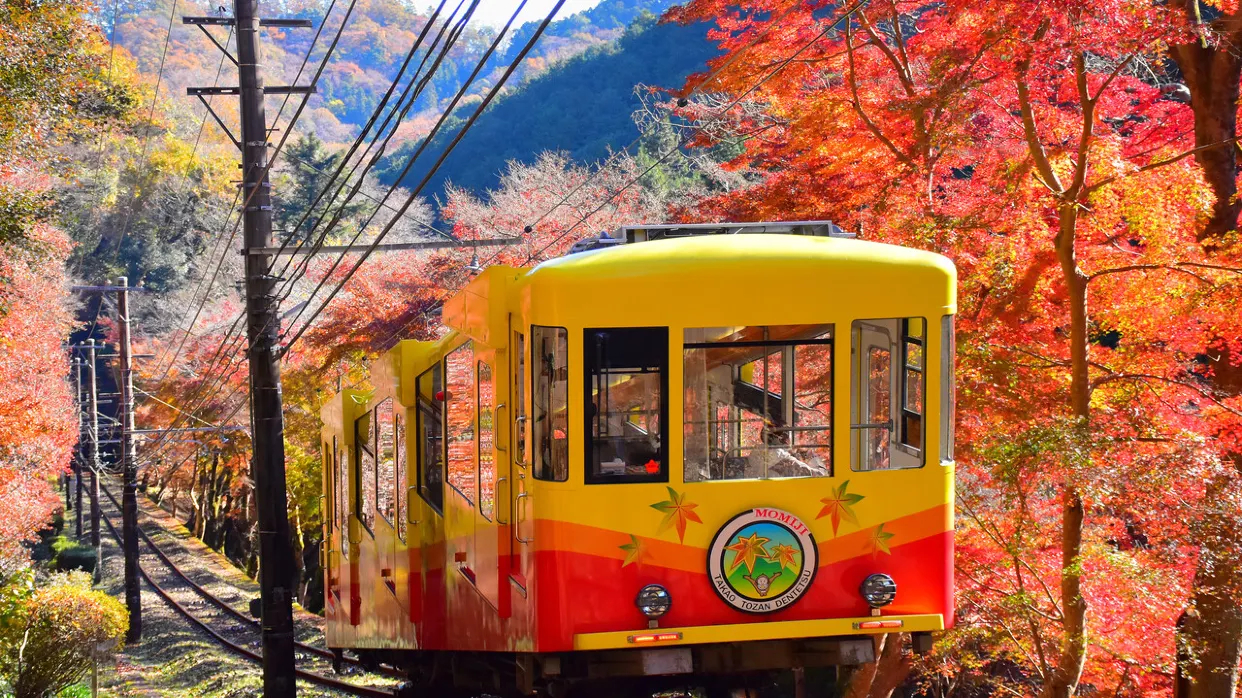高尾山紅葉