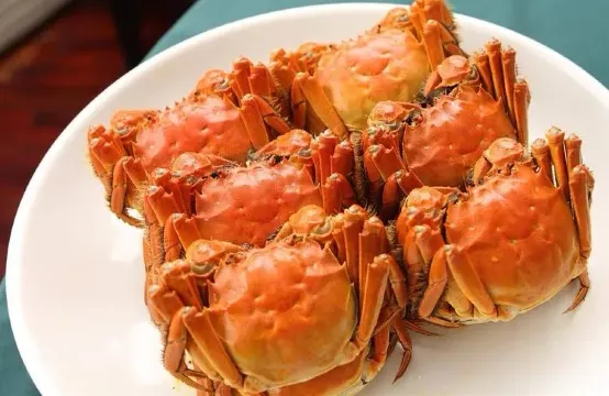 任食金秋大閘蟹