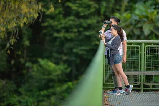 西必洛紅毛猩猩庇護中心