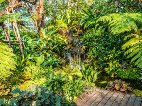 興隆熱帶植物園