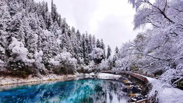 九寨溝五彩池冬季