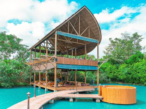 Bubble in the Forest