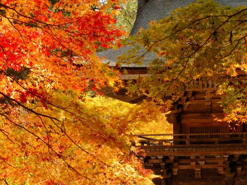 大矢田神社