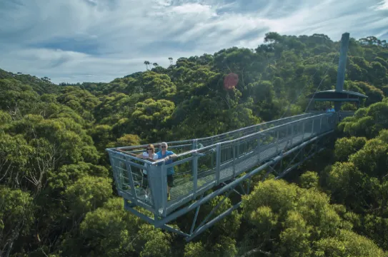 依拉瓦拉樹頂漫步之旅