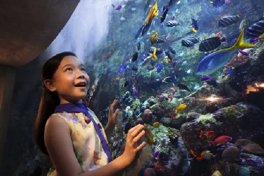 失落的空間水族館