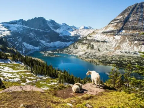 大冰河國家公園~佩尼托莫雷諾冰川之旅