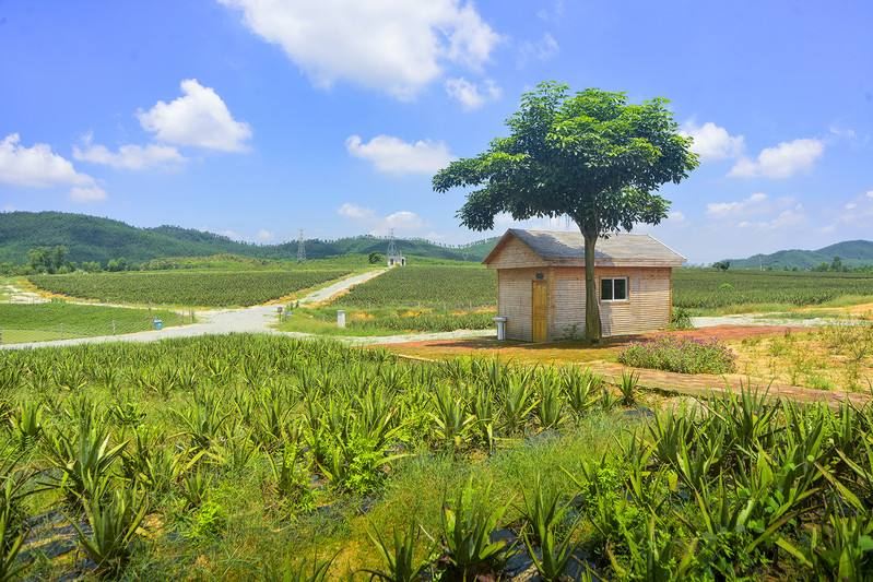 美國村風情蘆薈莊園