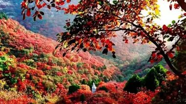 《秋「楓」石門+溫泉》石門國家森林公園(賞千畝紅楓林、天池花海)【一年一度增城農家遲菜心宴】南昆山竹溪山境溫泉酒店(獨立溫泉池客房+無限次浸泡特色溫泉) 從化惠州美景純玩2天團