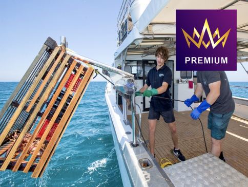 【Chill歎海鮮船】國泰直航～西澳粉紅湖 8天美饌佳餚之旅/羅特尼斯島💎悉心安排乘坐觀光巴士之旅,真正深入參觀羅特尼斯島最壯觀的地方/細意安排品嚐Crown 皇冠酒店自助餐