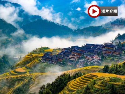 桂林4天團·［全新皇牌桂林㊣陽朔、龍脊梯田］西九龍高鐵往返 、乘船漫遊一江四湖、國賓洞蘆笛岩、興坪灕江竹筏、龍脊梯田、七星公園、象鼻山、陽朔西街、瀑上酒店景觀下午茶  升級純玩4天高鐵團