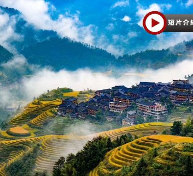 ［全新皇牌桂林㊣陽朔、龍脊梯田］西九龍高鐵往返 、乘船漫遊一江四湖、國賓洞蘆笛岩、興坪灕江竹筏、龍脊梯田、七星公園、象鼻山、陽朔西街、瀑上酒店景觀下午茶  升級純玩4天高鐵團