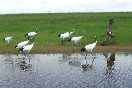 紮龍自然保護區