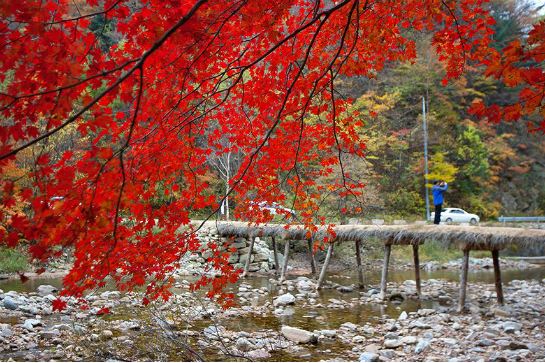 五臺山國立公園
