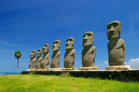 日南太陽花園Sun Messe