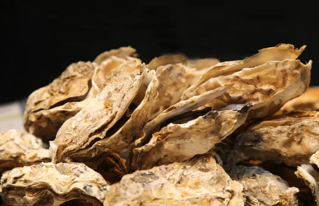 增城碧桂園希爾頓逸林酒店