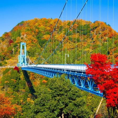東京、茨城 秋日5天賞景之旅   賞紅葉名所(「日本三大瀑布之一」袋田瀑布、龍神大吊橋、「世界文化遺產」日光東照宮、成田山新勝寺)