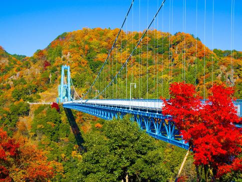 東京、茨城 秋日5天賞景之旅   賞紅葉名所(「日本三大瀑布之一」袋田瀑布、龍神大吊橋、「世界文化遺產」日光東照宮、成田山新勝寺)