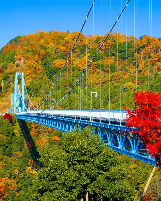 東京、茨城 秋日5天賞景之旅   賞紅葉名所(「日本三大瀑布之一」袋田瀑布、龍神大吊橋、「世界文化遺產」日光東照宮、成田山新勝寺)