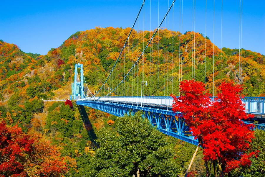 東京、茨城 秋日5天賞景之旅   賞紅葉名所(「日本三大瀑布之一」袋田瀑布、龍神大吊橋、「世界文化遺產」日光東照宮、成田山新勝寺)