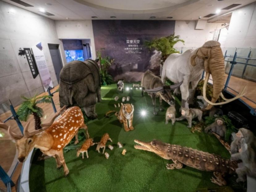 台南左鎮化石園區