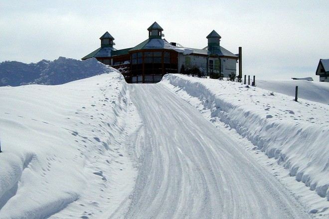 羊與雲の丘~世界綿羊館