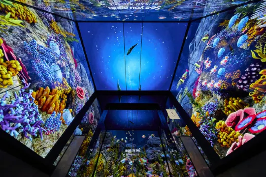 海雲台X the SKY 觀景台