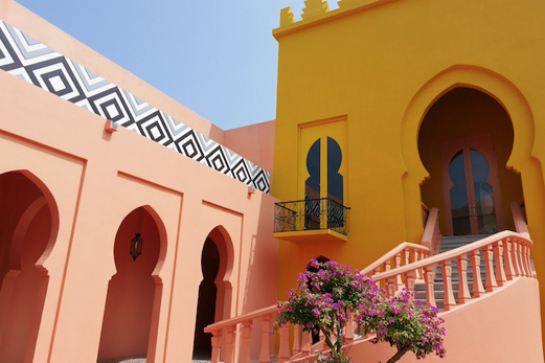 Camel Republic駱駝共和國