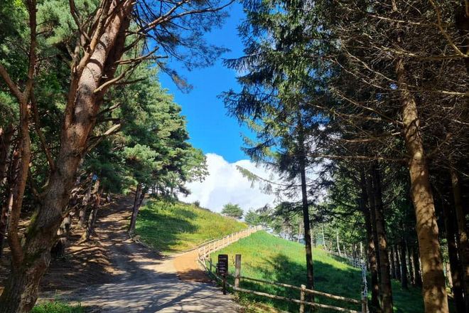 Ani-Fore 休閒空間