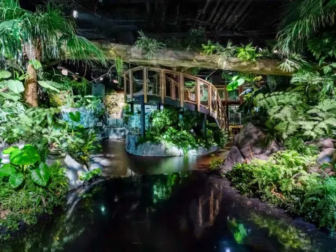 DMM Kariyushi水族館