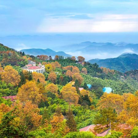 【壯觀天下無🌊錢塘江大潮】宜興、海寧、莫干山、揚州、南京6天團  莫干山、窯湖小鎮、新市古鎮、觀潮勝地公園、瘦西湖、玄武湖【賞一年一度錢塘江大潮(最佳觀賞地點)、頌福雅宴】