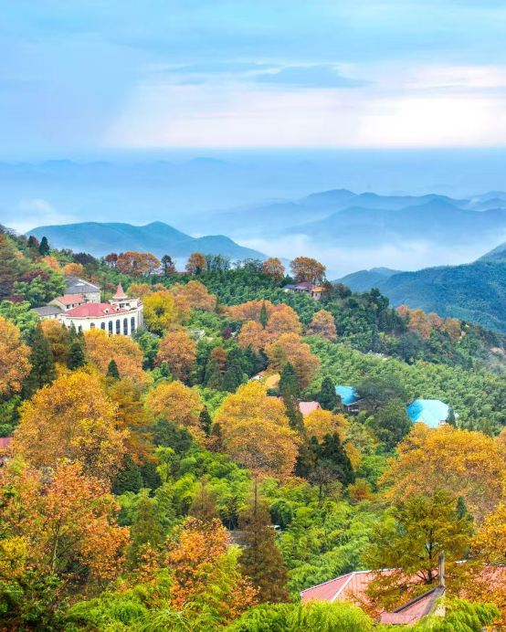 【壯觀天下無🌊錢塘江大潮】宜興、海寧、莫干山、揚州、南京6天團  莫干山、窯湖小鎮、新市古鎮、觀潮勝地公園、瘦西湖、玄武湖【賞一年一度錢塘江大潮(最佳觀賞地點)、頌福雅宴】