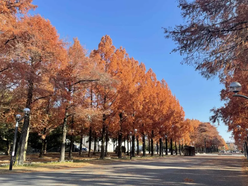 花博記念公園鶴見綠地