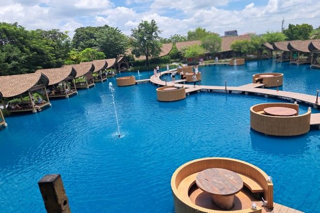 Bubble In The Forest