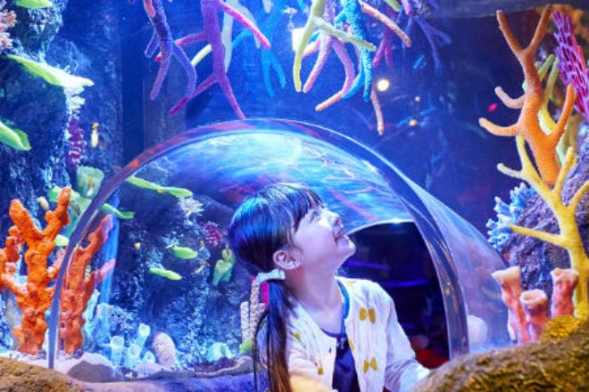 Sea Life海洋探索館