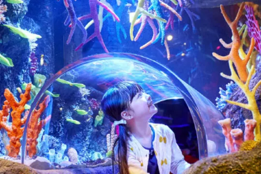 Sea Life海洋探索館