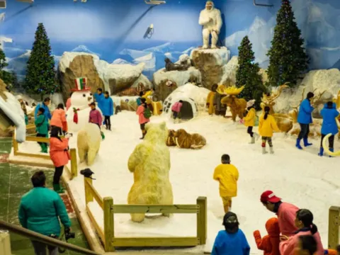 Dream World 夢幻真雪城