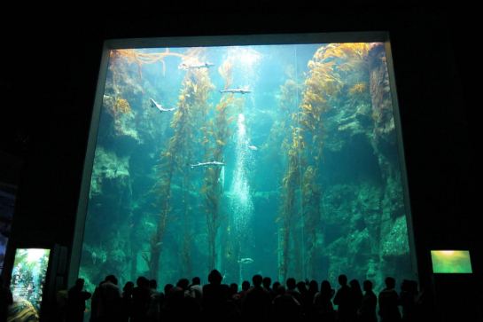 國立海洋生物博物館