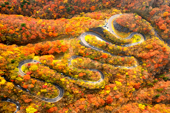 奧日光伊呂波山道