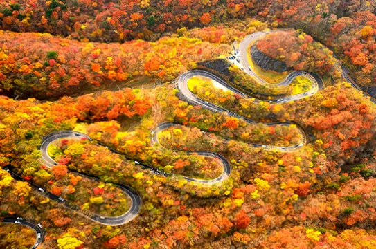 奧日光伊呂波山道