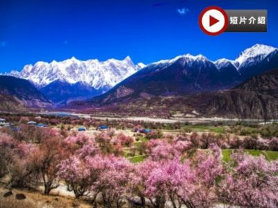 【季節限定~林芝賞桃花🌸最美季節】林芝、西藏9天團
賞桃花🌸勝地<索松村、嘎拉桃花溝、秀巴古堡>、布達拉宮、大昭寺、羅布林卡、體驗做一天藏族人+穿藏裝+攝影師跟拍📸、羊卓雍措、扎什倫布寺 【季節限定~林芝賞桃花🌸最美季節】林芝、西藏9天團
賞桃花🌸勝地<索松村、嘎拉桃花溝、秀巴古堡>、布達拉宮、大昭寺、羅布林卡、體驗做一天藏族人+穿藏裝+攝影師跟拍📸、羊卓雍措、扎什倫布寺